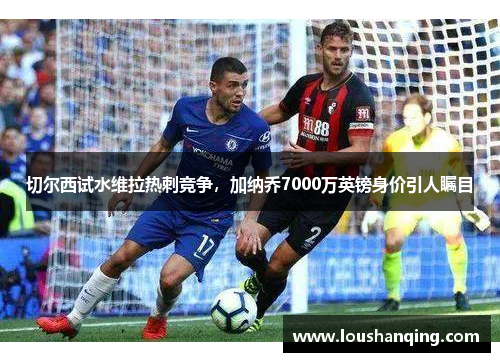 切尔西试水维拉热刺竞争，加纳乔7000万英镑身价引人瞩目