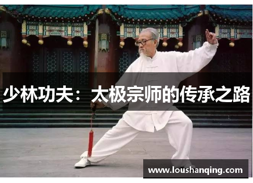 少林功夫：太极宗师的传承之路